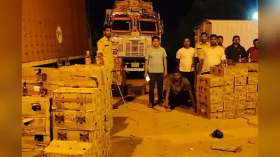 गया के डोभी चेकपोस्ट पर उत्पाद विभाग की कार्रवाई, ट्रक से 7740 बोतल विदेशी शराब जब्त, एक गिरफ्तार